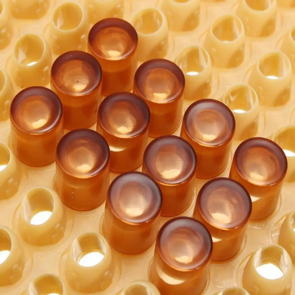 

Набор для разведения пчел: ячейки-контейнеры, держатели для ячеек и барьеры, пчелиные ульи-клетки для пчеловодства, оборудование и принадлежности для разведения пчел