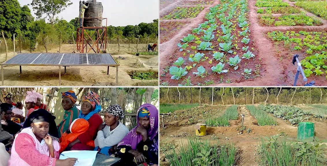 1.5 حصان التيار المتناوب/تيار مستمر الزراعة الشمسية عالية الحجم محرك غاطس بئر نقل المياه مضخة سعر Bomba De Agua لوحة الشمسية الفقرة Riego