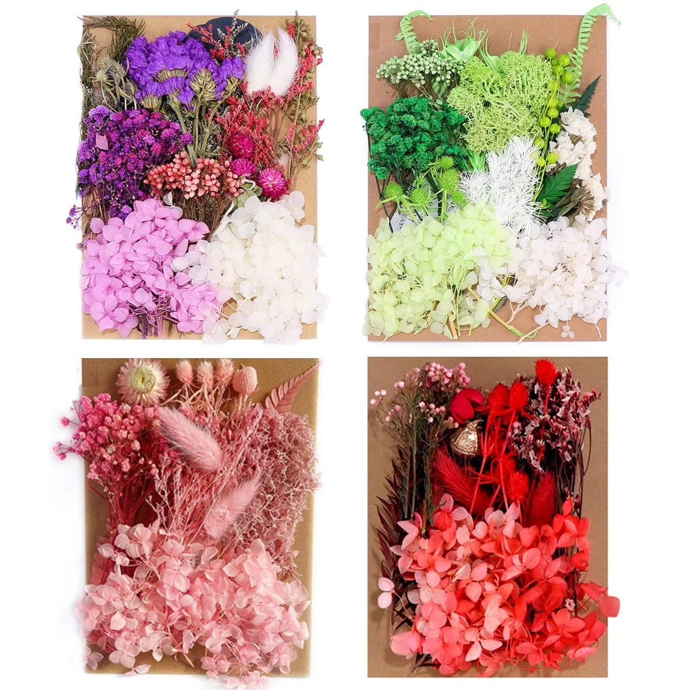 

A5 Bag Natural Plants Preserved Dried Real Flowers Epoxy Resin Candles DIY greeting card Floral Materials Hydrangea Flower