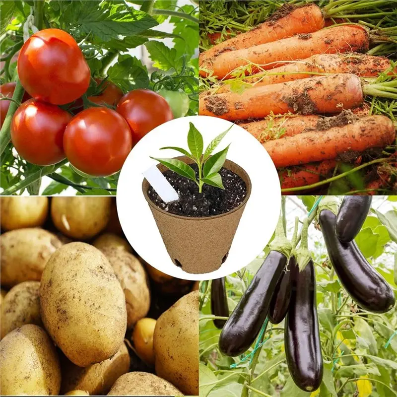 ABBP-45Pcs Peat Pots Seeds Starter 3.15 Inch Biodegradable Seeds Starter Pots Peat Pots For Seedlings With 30Pcs Plant Labels