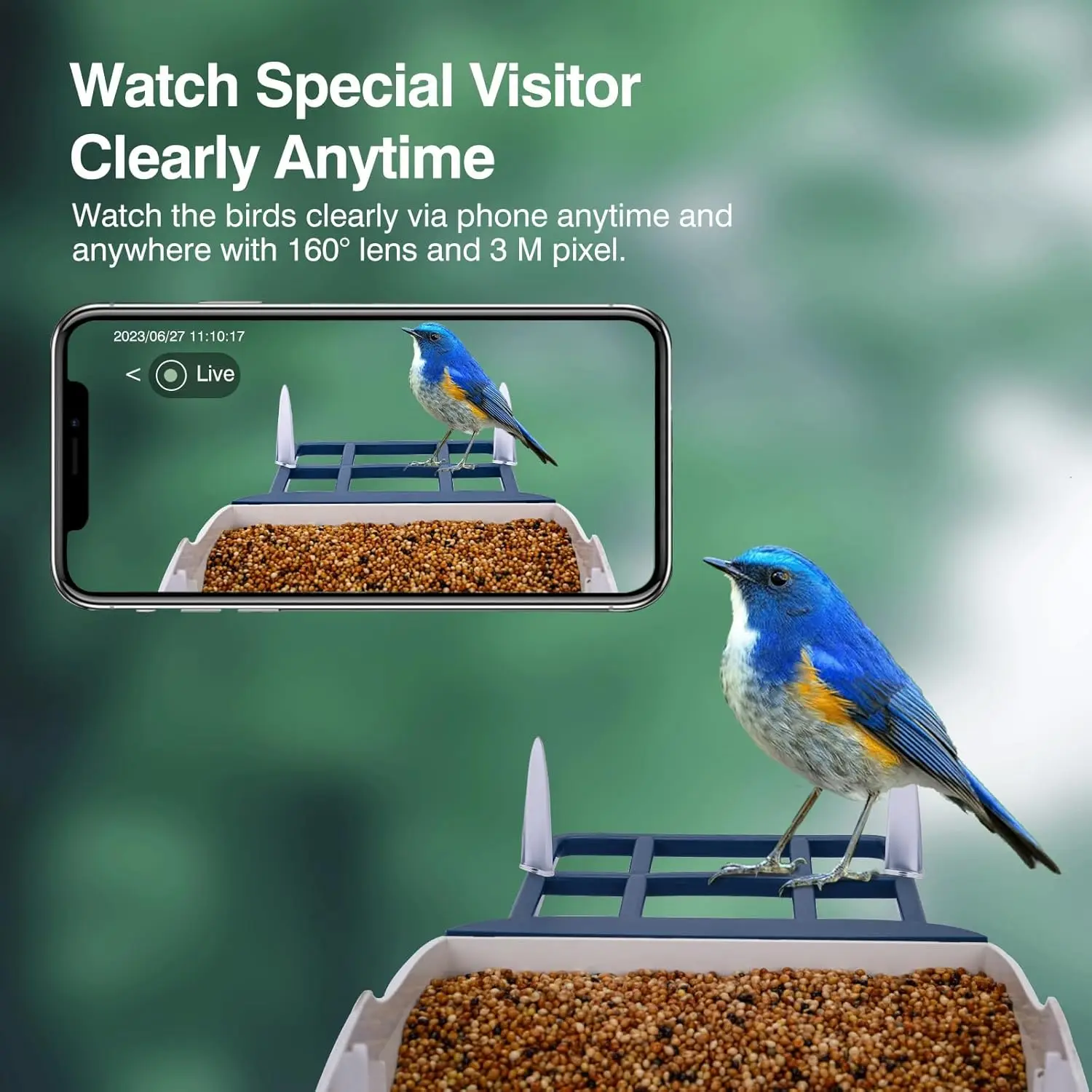 وحدة تغذية الطيور الذكية مع كاميرا، معرف أنواع الذكاء الاصطناعي، تعمل بالطاقة الشمسية، فيديو عالي الدقة 2K، تنبيهات فورية لمحبي الطيور #5
