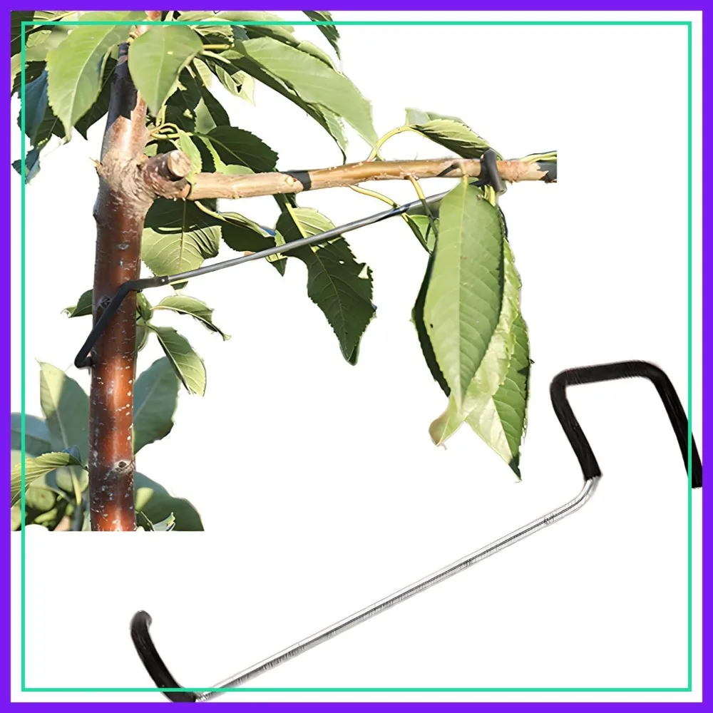 

Fruit Tree Limb Spreader 20pcs, 10inch Branch Puller, Plastic Hose Wrapped Iron Wire, Tree Open Angle Tool