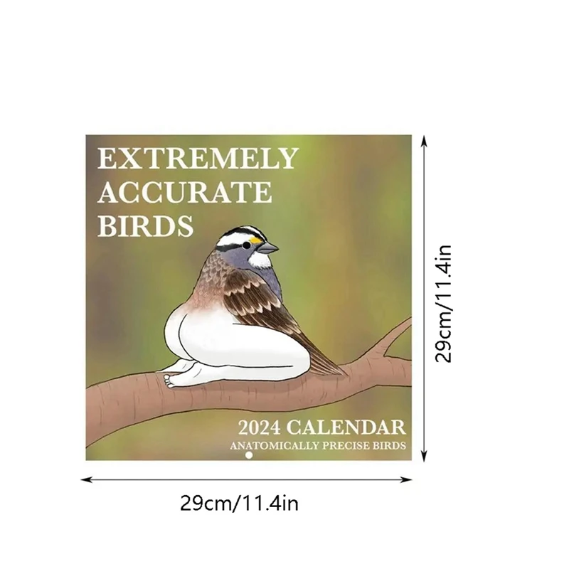 Desk Calendar Set Kit 2024 Calendar Kit Of Extremely Accurate Birds Cartoon Standing Flipdesktop Calendar Daily Planning Monthly