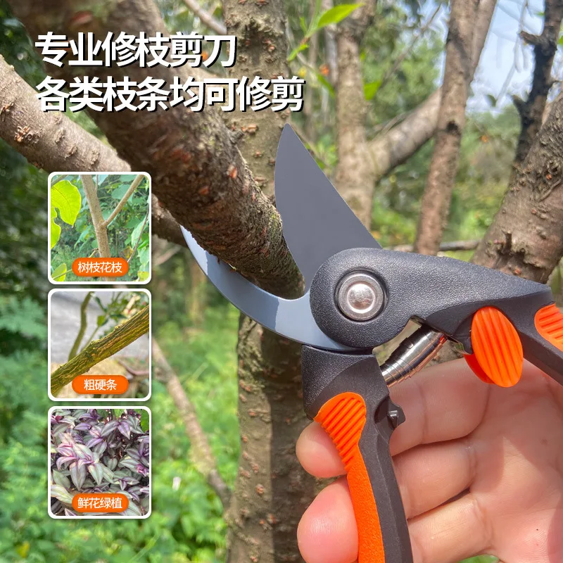 Pruning Scissors Strong Cut Flowers Pruning Shear Fruit Tree Pruning Branches Hortpark Floral Scissors Orchard Shears