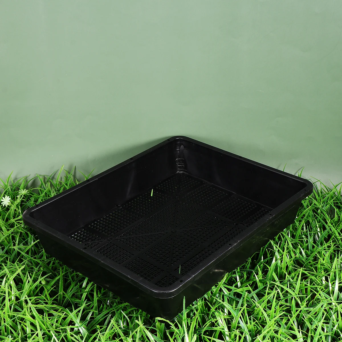

2Pcs Nursery Tray Set 37x30cm Multi-Use Plastic Growing Plate for Sprouts Herbs Fruits Vegetables Well-Ventilated Anti-Rot