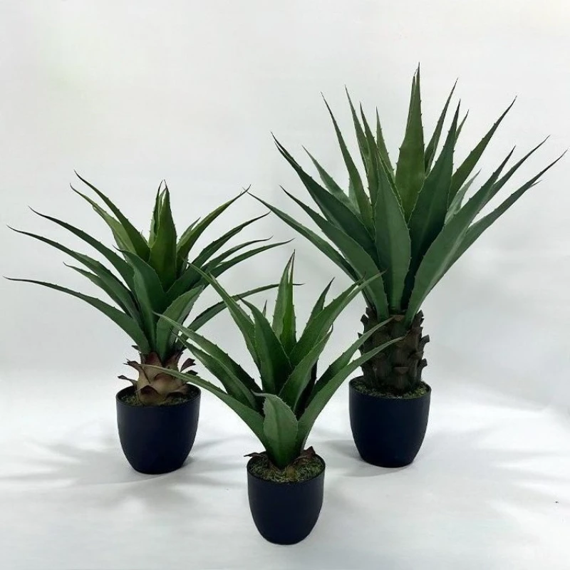 

Simulated Plant Agave Sisal Crown Orchid Combination Potted Plant Indoor Green Plant Prop Ornament