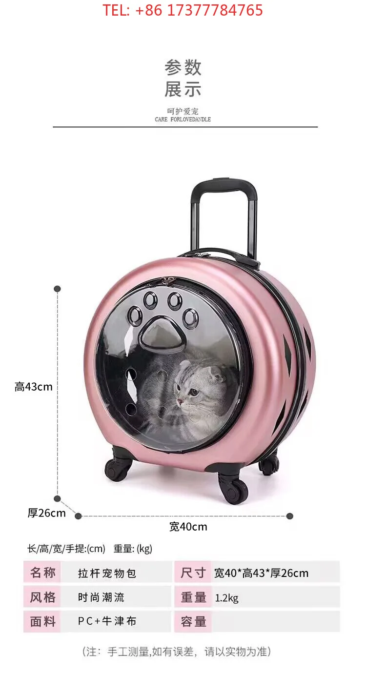Transparent Reinforced Por PC Cat Backpack Pet Cer Cat Transport Cer Small Animal Trolley Case For Outdoor Travel