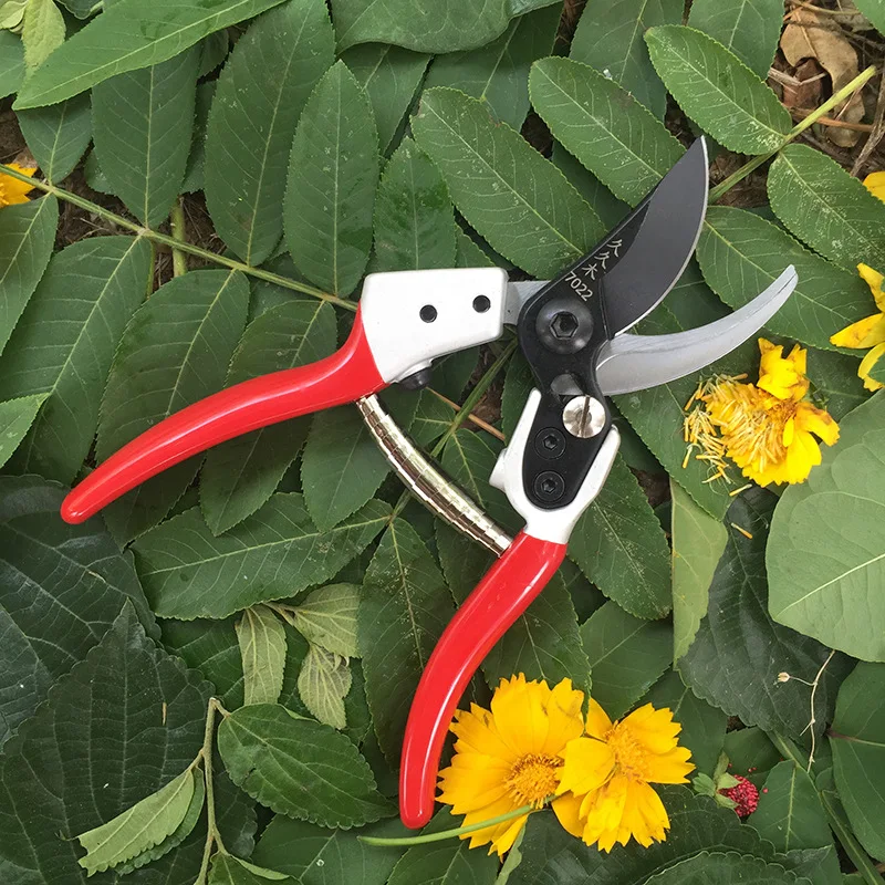 Árvore de fruto tesoura de poda tesoura ferramentas de jardinagem novo ramo de frutas tesoura sk5 tesoura de poda de madeira