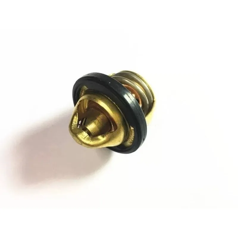 For, Xiao Huanglong 302S BJ300 BN302 TNT302 Hurricane, Thermostat