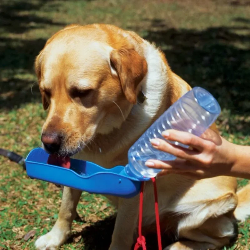 250ml Dog Water Bottle Folding Drinker Plastic Portable Water Bottle Pets Outdoor Travel Drinking Water Feeder Bowl for Dogs