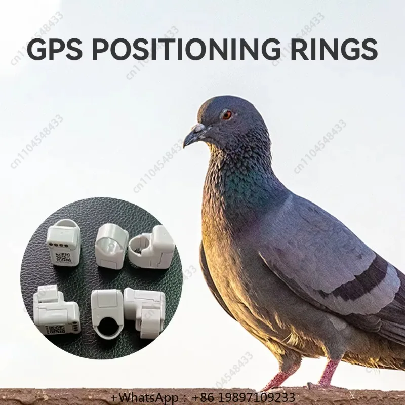 Recién llegado, anillos para palomas a la venta, sistema de anillos, comentarios, repelente, dispositivo repelente, aparejos electrónicos