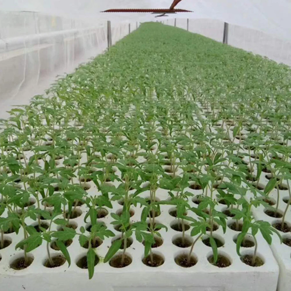 

50Pcs Cylindrical Grow Plugs Soilless Grow Plugs Simple Design Good Air Permeability Suitable for Home and Factory