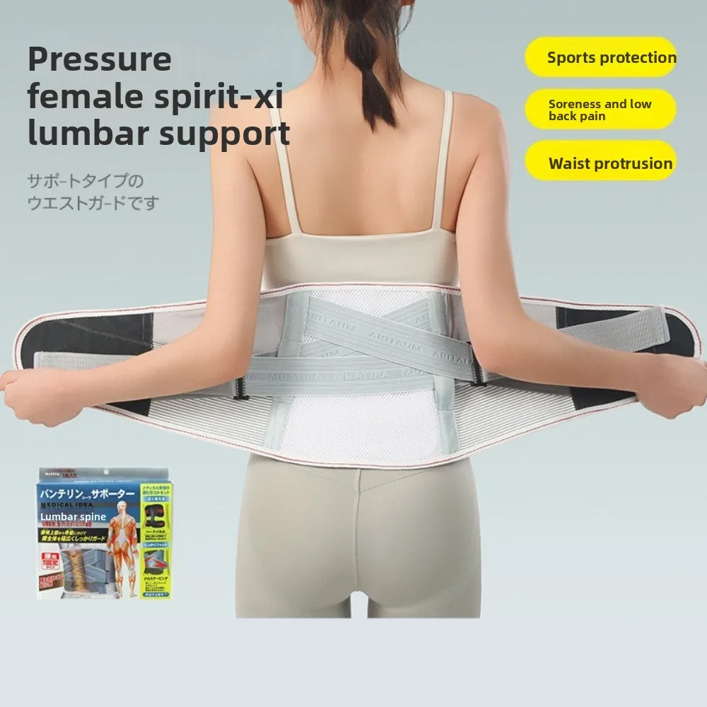 

Support Bionic cartilage support Removable Light and comfortable Waist belt High elasticity breathability belt