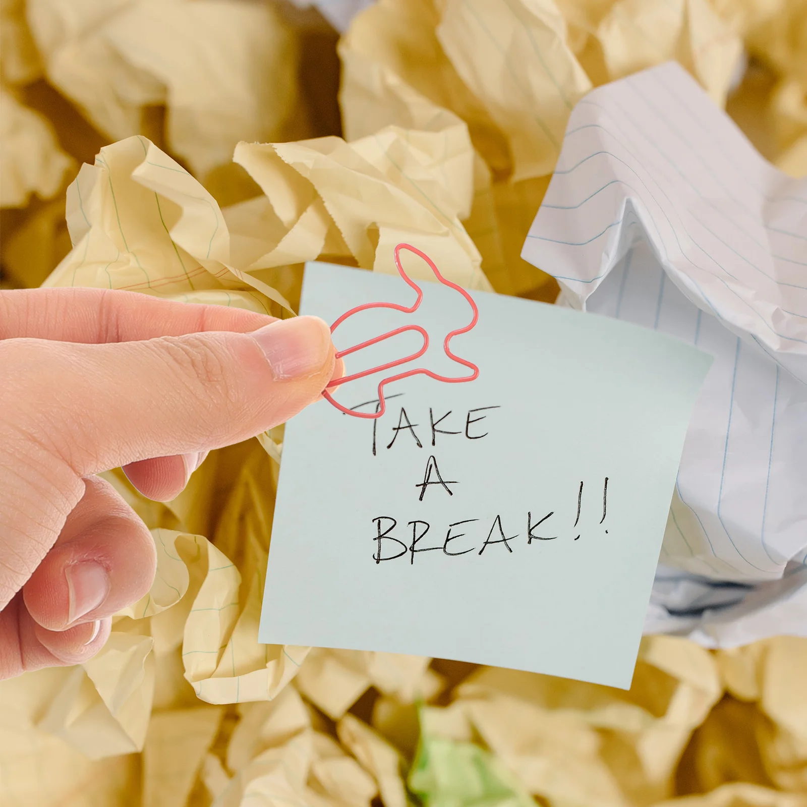 50 قطعة دبابيس ورق الحيوان الإبداعية شكل أرنب مشبك قوي ملاحظة حامل مكتب المدرسة صور كليب هدية دبابيس الورق #5