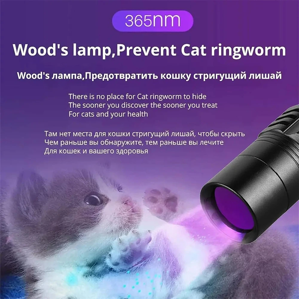 Lanterna ultravioletta Potente torcia a LED 365nm Torcia a luce UV USB ricaricabile Luce nera per l'ispezione delle macchie di urina degli animali domestici