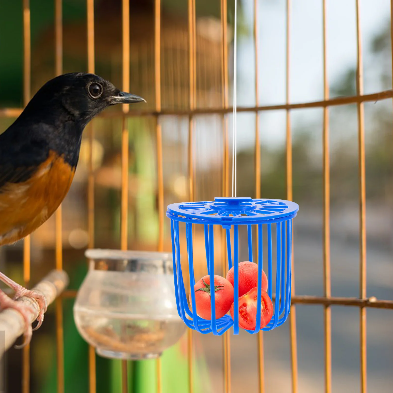 10 pçs alimentador de beija-flor cesta de frutas e vegetais gaiola cockatiel papagaio oco acessórios periquito pendurado