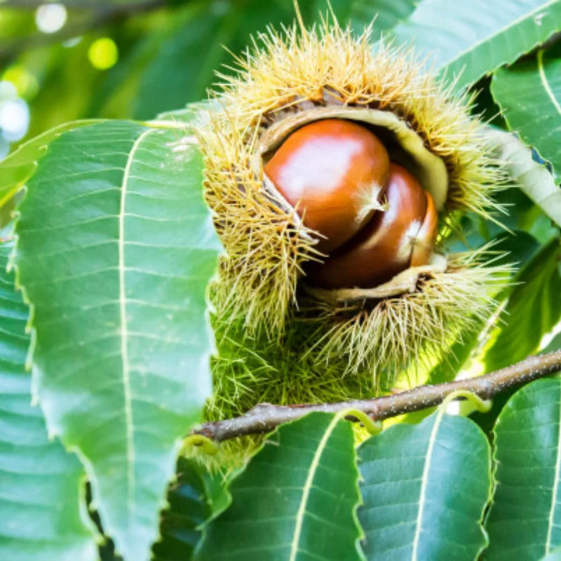 

МОДЕЛЬ MN 1/12 MN82T LC79 MN82S MN82Pro MN82 Металлическое обновление радиоуправляемого автомобиля Полный комплект запасных частей