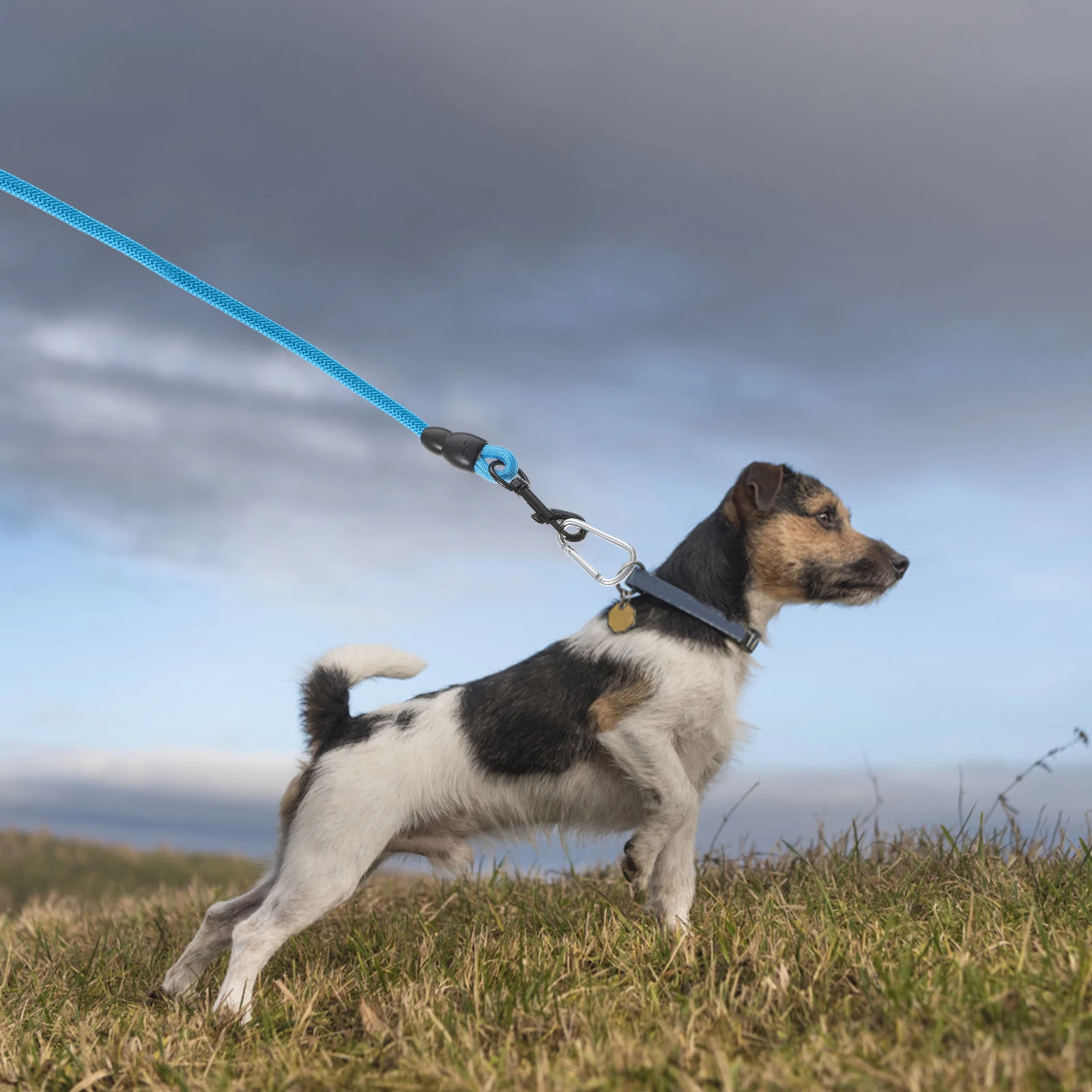 

5 Meter Dog Leash Heavy Duty Long Thick Nylon Pet Rope Leash for Outdoor Walking Running Training Comfortable Handle High