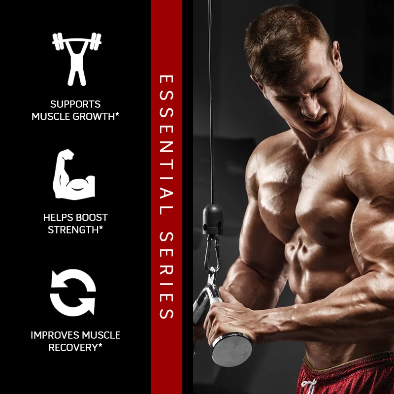 Catfit Creatine Monohydrate Capsules Improve Energy Endurance Recognition Muscle Strength Growth & Repair Whey Protein for Gym