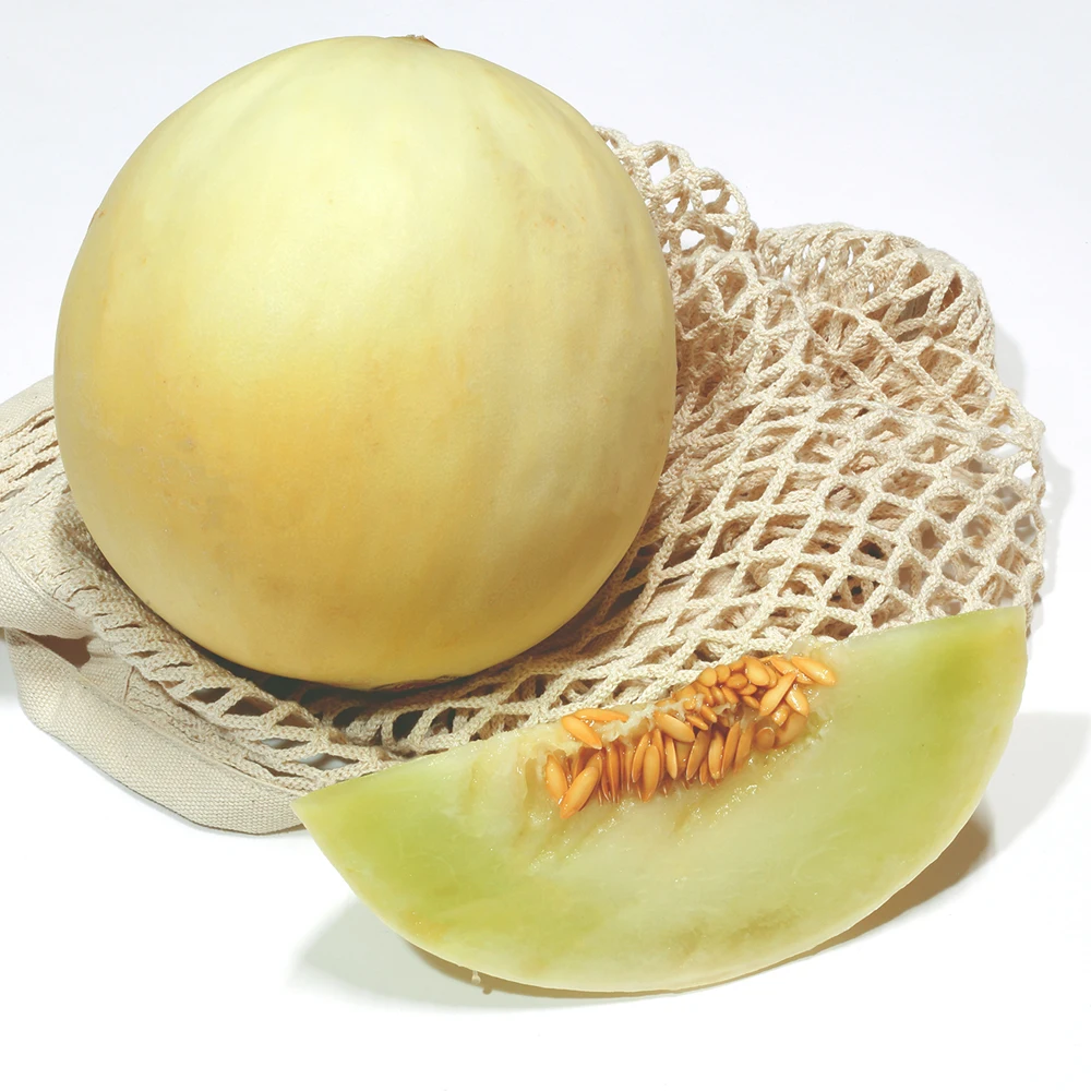 [Fremo de temporada/Unavigable para el envío] Melón Honeydew para uso doméstico, paquete de 2, paquete de 3, paquete de 5 (tamaño grande/mediano)