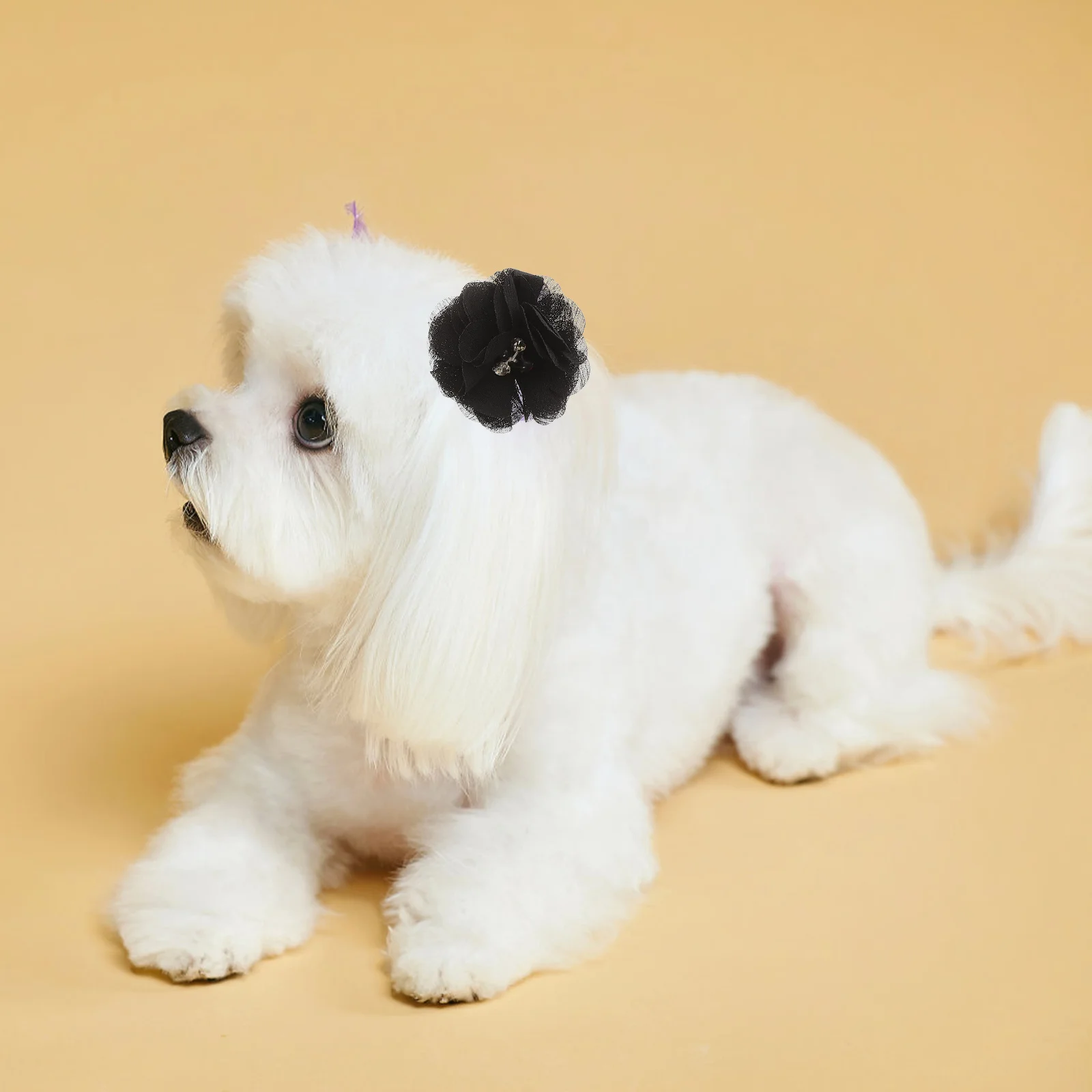 

20Pcs Pet Headdress Stylish Dog Cat Hair Clips Grooming Accessories Photo Shoot Gift Pet Headdress Dog Headwear