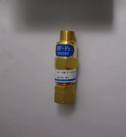 

HF-P2 flashback preventer flashback valve