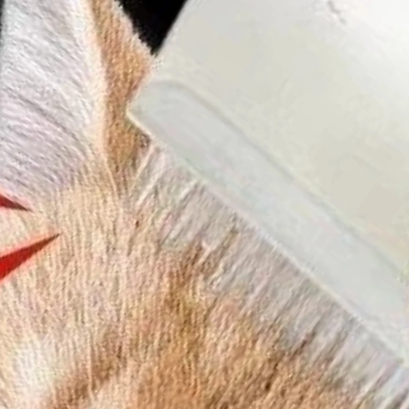 Escova de Massagem para Cães e Gatos 2/5/10 Peças, Escova Multifuncional para Remoção de Pelos, Esponja de Limpeza, Pente Simulador de Língua de Gato