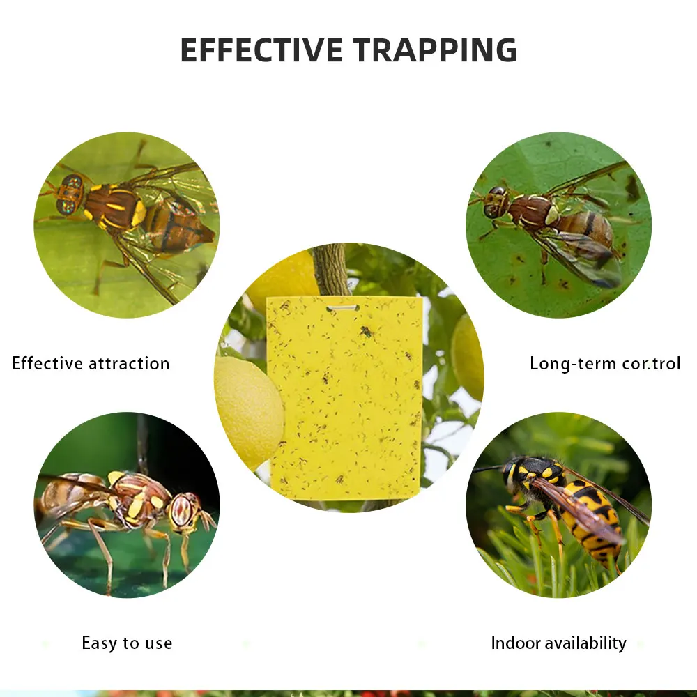 30/50pcs Yellow Double-sided Greenhouse Sticky Traps - Catch Multiple Flying Insects Instantly!