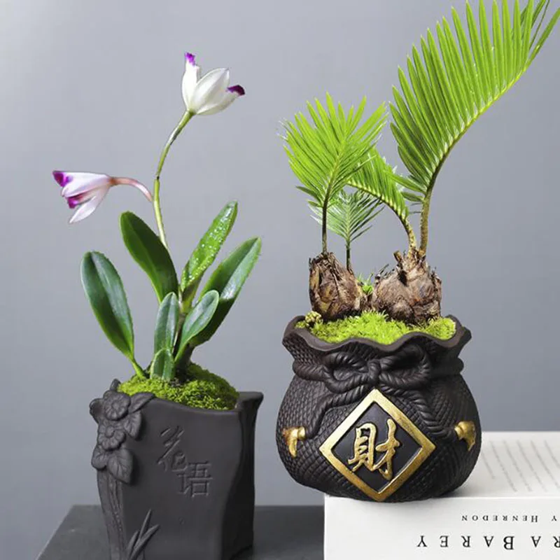 Creative Purple Clay Bonsai Vase Green Plant Pot Chinese Style Flowerpot with A Hole Desktop Ornaments Home Garden Decor