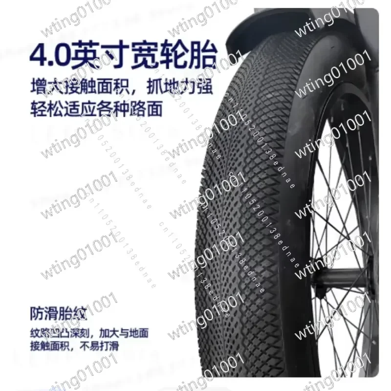 for 20 Inch 4.0 Wide Tire Snow Electric Bicycle Lithium Battery Folding Bike