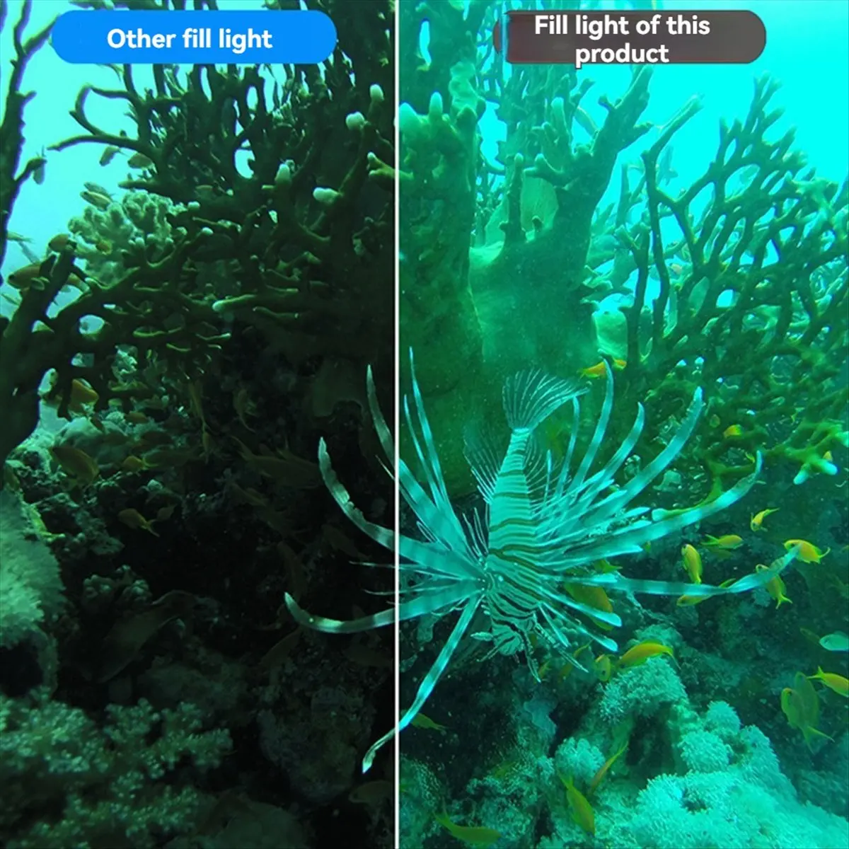 SL-101 عالية الكثافة 1800LM LED مصباح غوص مقاوم للماء 40 متر للفيديو والتصوير الفوتوغرافي تحت الماء أ #6