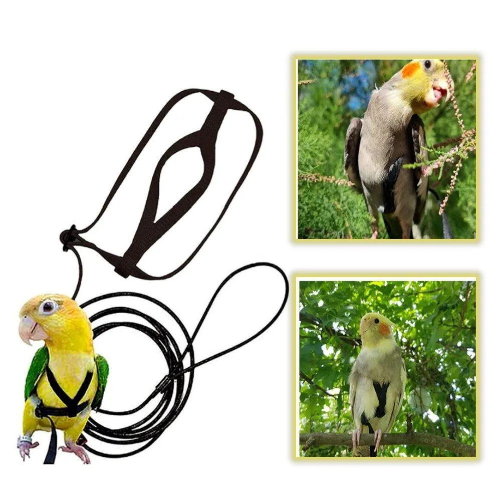 Papageien flug training einstellbare Anti-Biss-Wander vögel für Outdoor-Release-Vogel geschirr Typ Traktion sseil Haustier Vogel zubehör