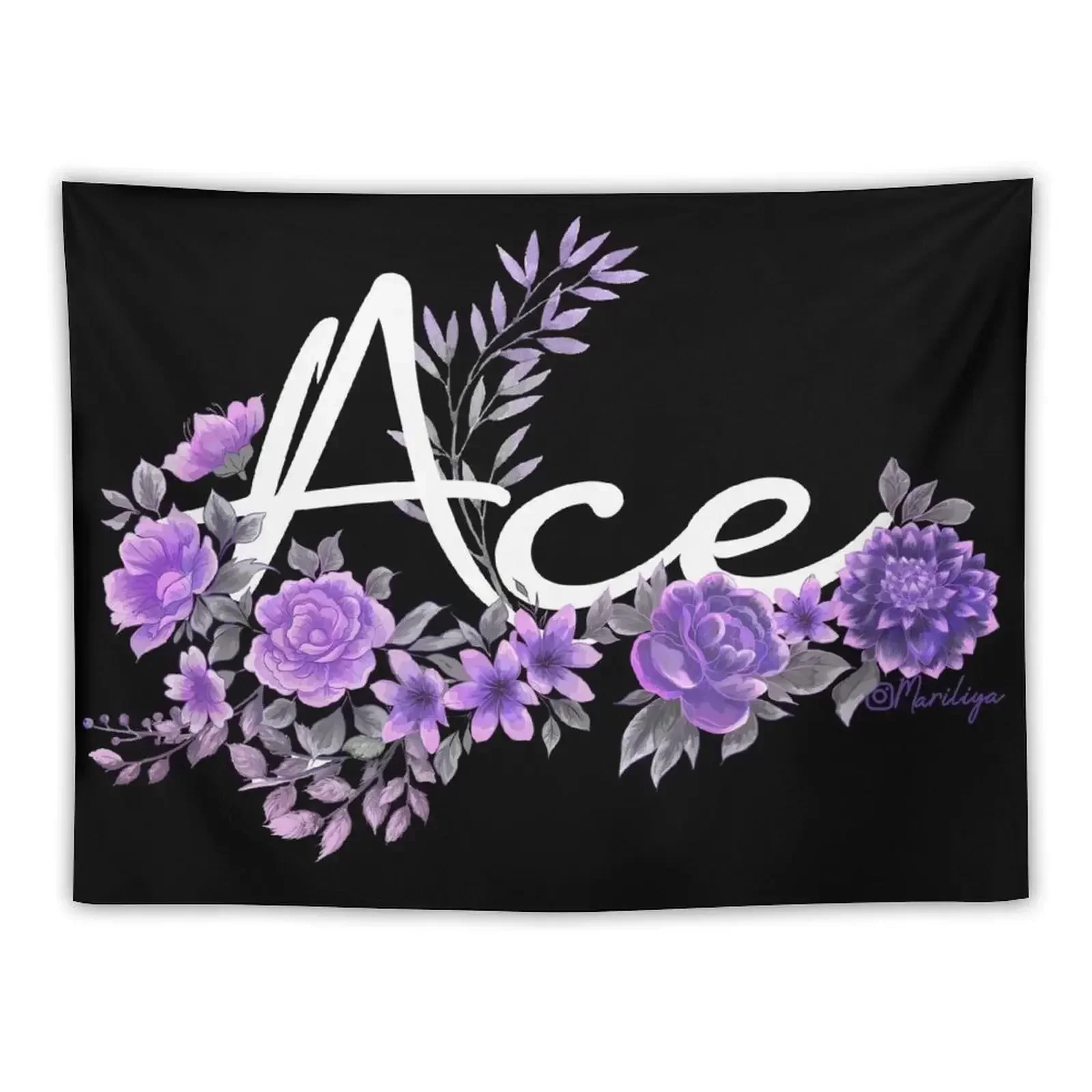 Ace-LGBT pride Tapestry Room Decore Aesthetic Outdoor Decor Cute Decor Tapestry