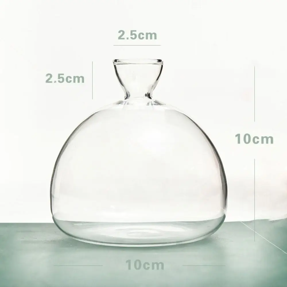 Transparent Avocado Hydroponic Vase Simple Glass Seed Starter Vase Plant Vase Aromatherapy Bottle Seed Growing Kit Nice Gift