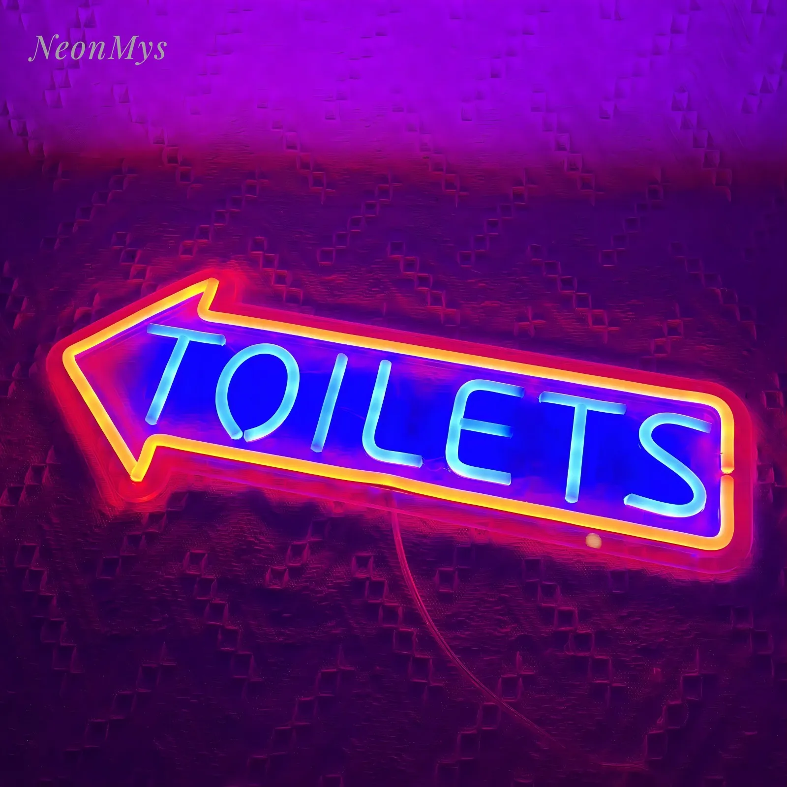 Enseigne au néon pour toilettes, flèche d'entrée de salle de bain, logo directionnel pour extérieur, fête, bar, jeu, lumière LED, panneaux muraux