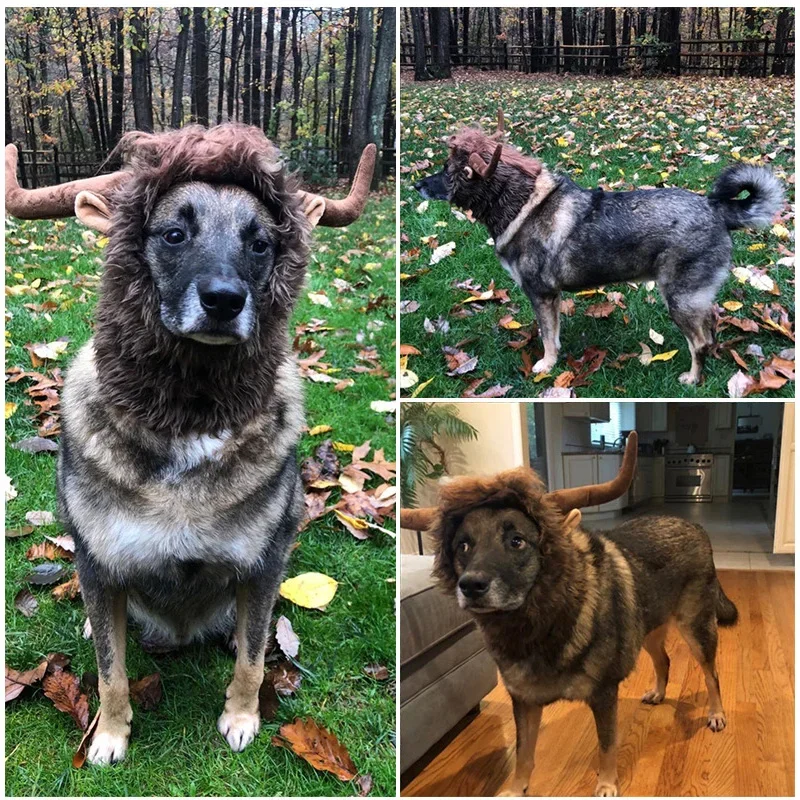 Dog Wig Cattle Horns Hat Cow Horn Corcherie Funny Dog Lion Costume For Large Dogs Halloween Thanksgiving Christmas