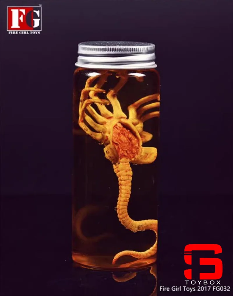 In Stock Fire Girl Toys 1/6 Alien Chestburster Facehugger Model With Canister Scene Props Fit 12'' Action Figure Body