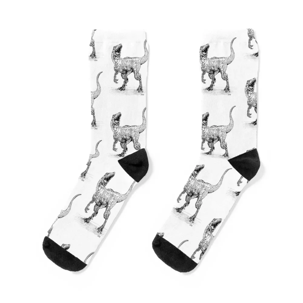 Blue the Raptor - Dinosaur Socks funny gift floor basketball Man Socks Women's