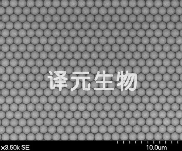 Monodisperse Polystyrene Microspheres 20nm~1000um Am PS Microballoon 5ml 2.5%