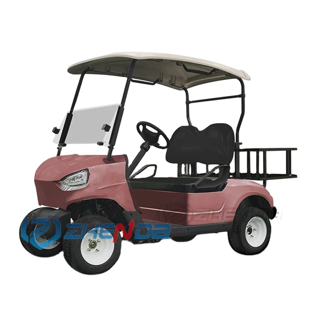 New Mold 2 seats Golf Cart with Air Conditioner Golf Buggy Electric Golf Trolley Club Car