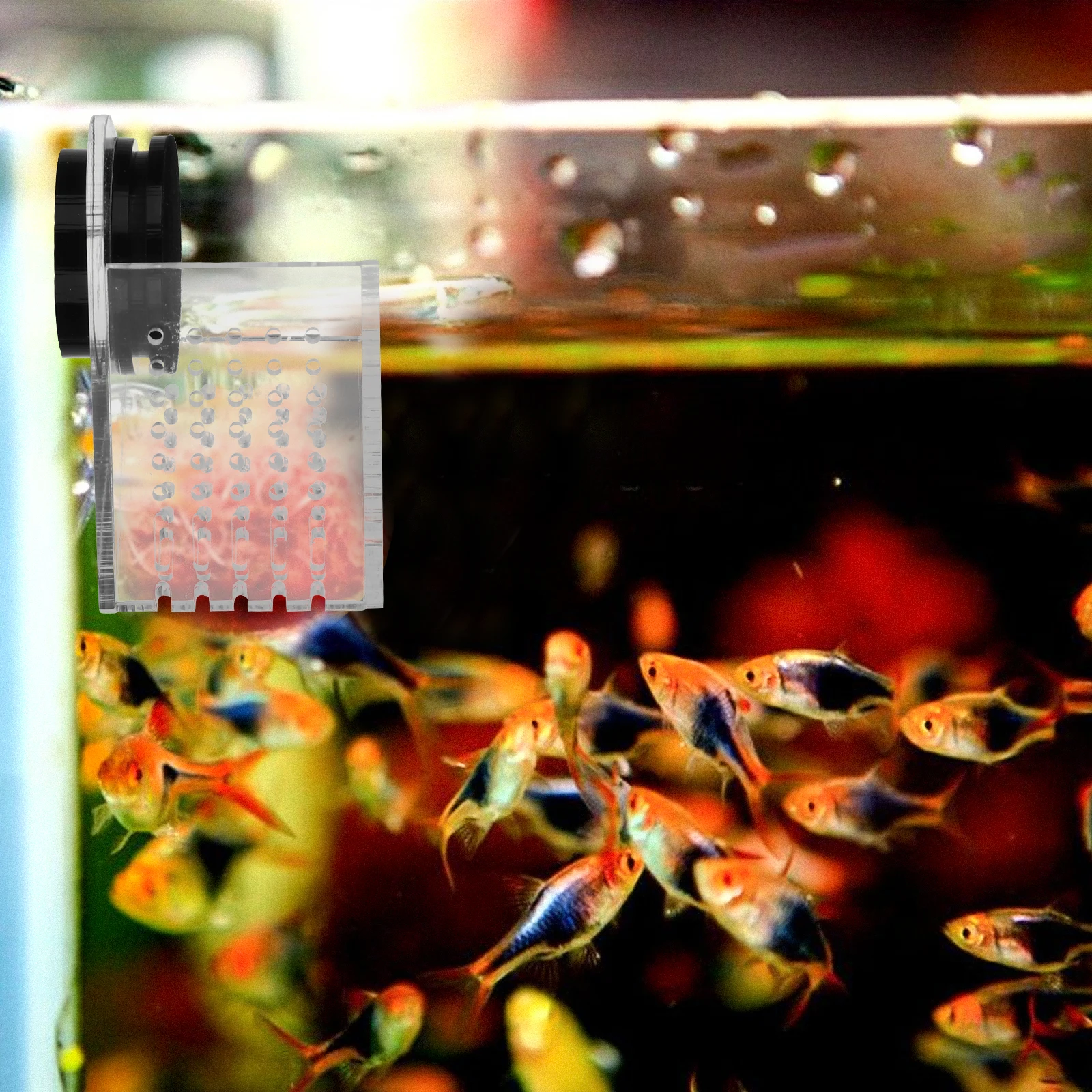 

1pc Aquarium Blood Worm Feeding Tool Food Dispenser Fish Tank Feeder Magnetic Suction Cup Durable Compact Design Easy Clean Fish