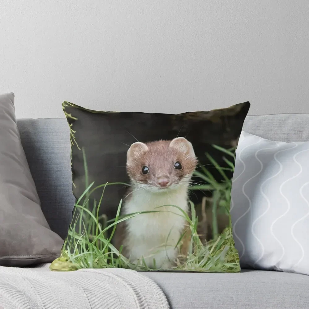 Stoat Throw Pillow Christmas Pillows pillows decor home Custom Cushion Photo pillow