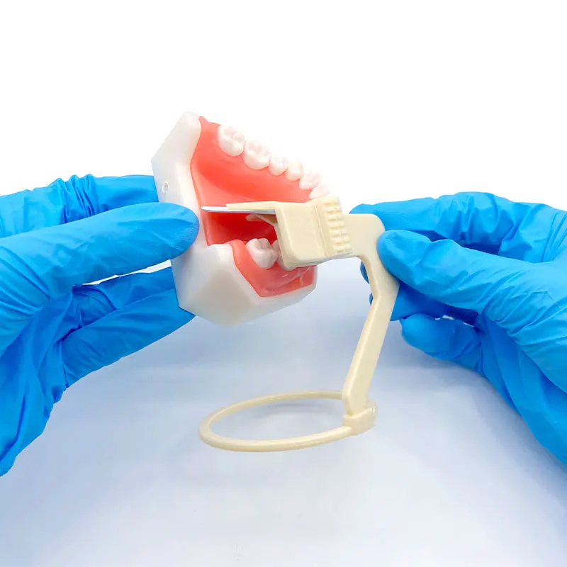 3 Pz/set Dentale Sensore A Raggi X Posizionatore Titolare Digitale Localizzatore di Film A Raggi X Strumento di Laboratorio Dentale Dentista Strumento