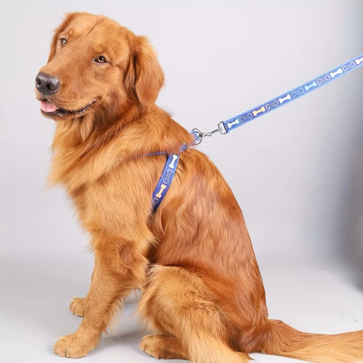 Adjustable Dog Harness with Quick Release Buckle Durable Polyester Pet Chest Strap Double D Ring Safety Vest for Small Medium Do - view 3