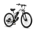 750W 48V15Ah 50km/h