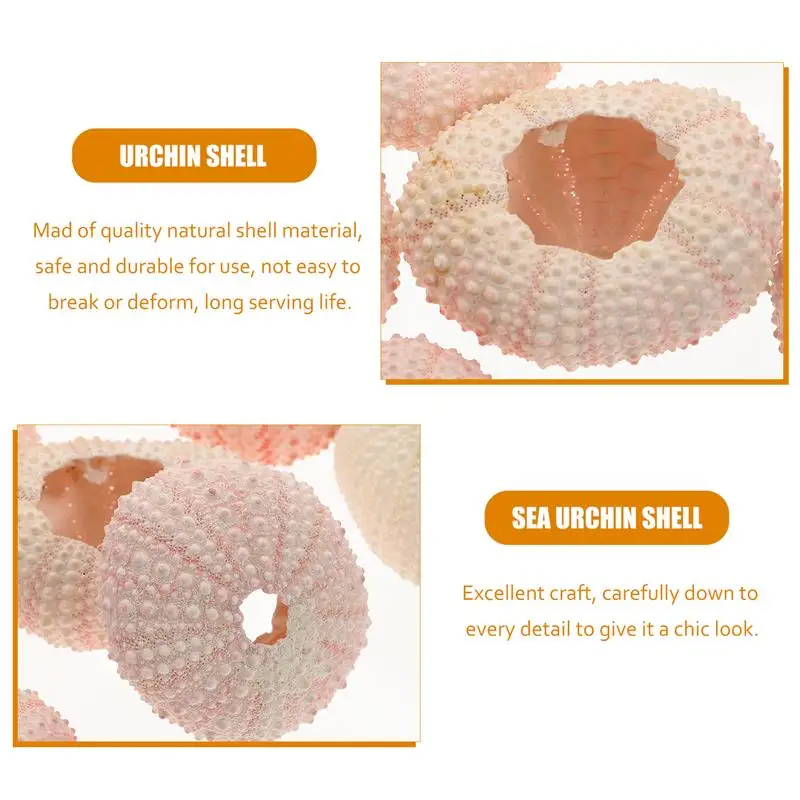 10 قطعة البحر قنفذ قذيفة قذائف الهواء بحري شاطئ القنص الزينة عصاري حوض السمك لتقوم بها بنفسك الحرف المحيط هدية (أنماط عشوائية)