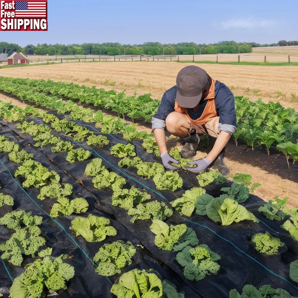 حاجز الاعشاب المناظر الطبيعية النسيج 4x50ft الثقيلة المنسوجة حصيرة PP نفاذية عالية المسيل للدموع مقاومة الاعشاب التحكم البطانة الحدائق