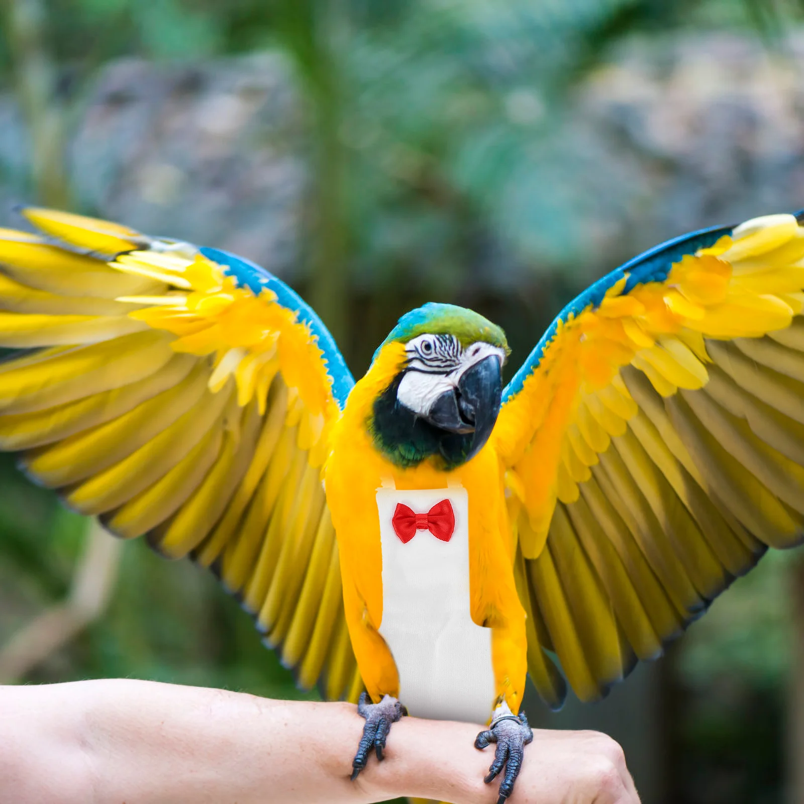 

Parrot Diaper Bird Clothes Flight Suits Reusable Washable Adjustable Strap Suitable Cockatiels Pigeons Small Birds Parakeets