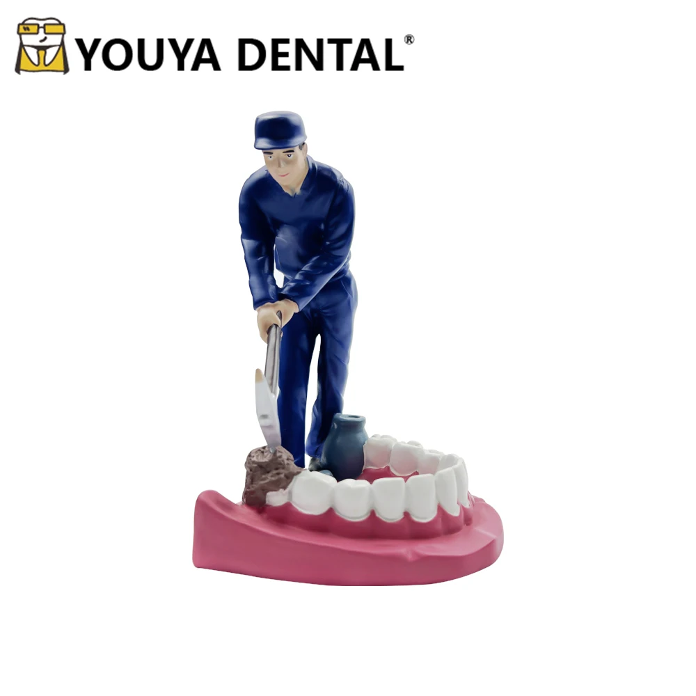 

Teeth Handicraft Artware Dental Figurines Ornament Dental Lab Clinic Decoration Furnishing Articles Sculpture Dentist Gift