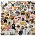 50PCS